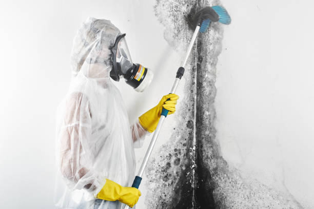 Step-by-Step Water Damage Restoration Procedure