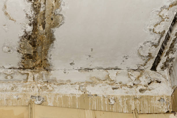 Trusted St Stephens, NC Water damage restoration Experts